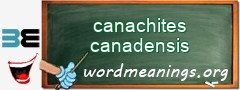WordMeaning blackboard for canachites canadensis